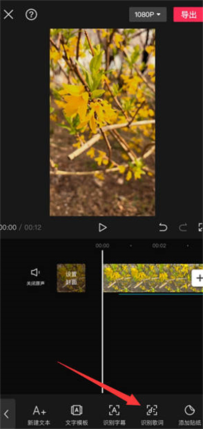 剪映怎么识别歌词[图片4]