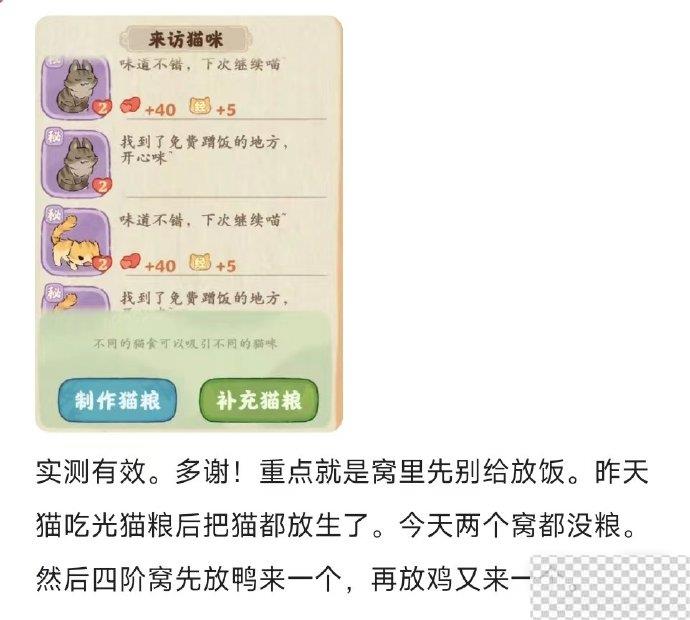 桃源深处有人家百分百神秘猫攻略一览图2